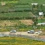 Campagne maltaise