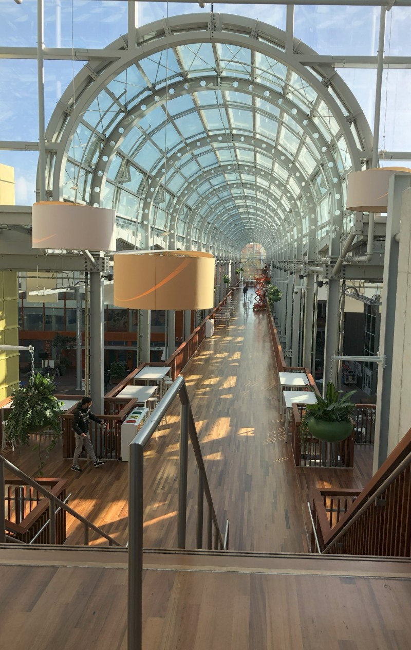Allée lumineuse à l'étage supérieur du Deltion College à Zwolle, avec verrière et passerelle en bois surplombant le campus.